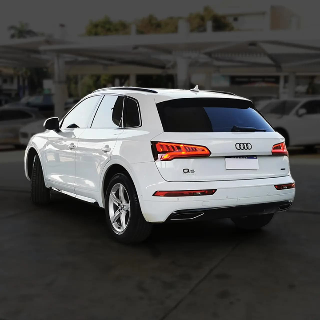 Audi Q5 2019