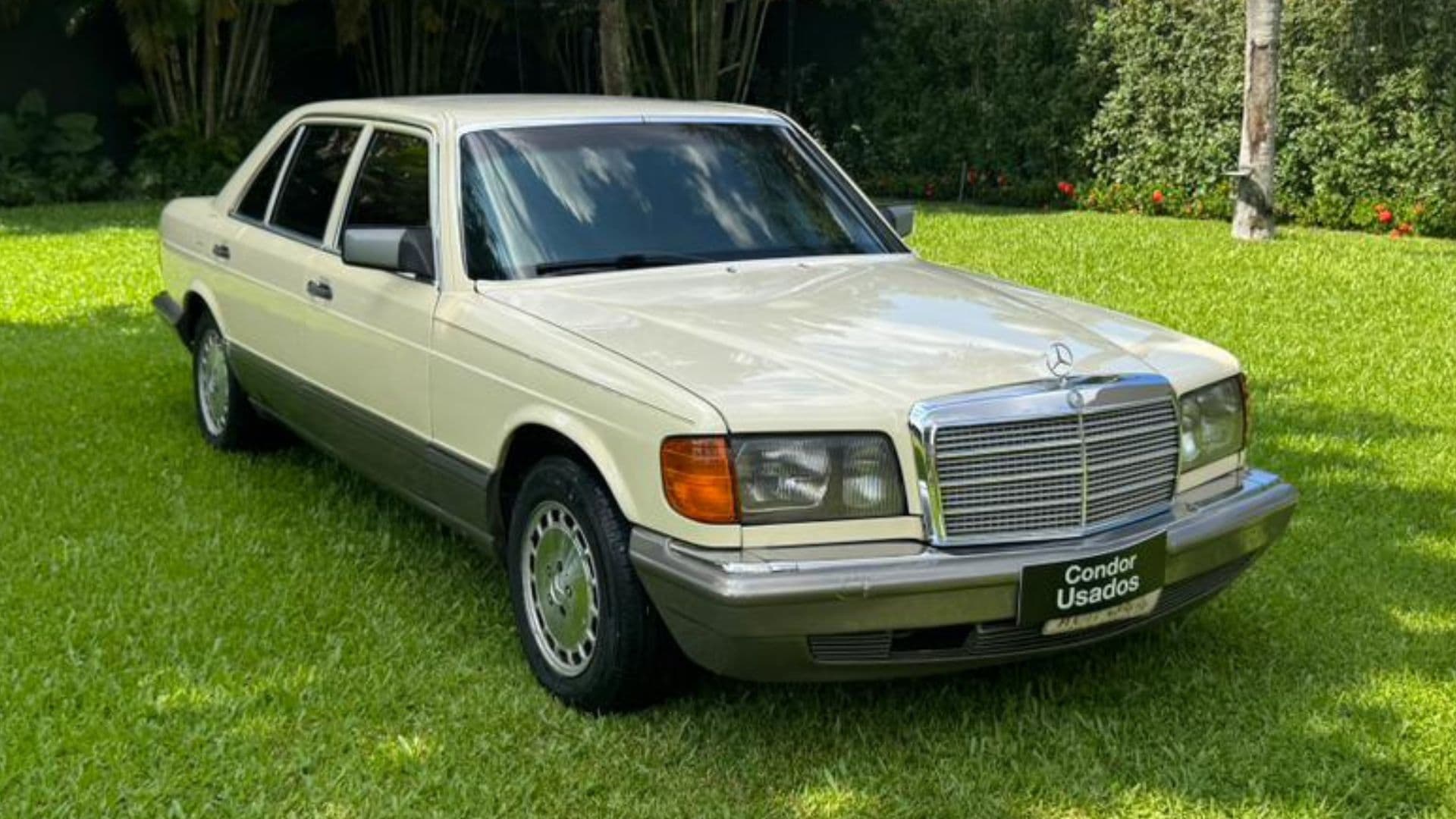 Mercedes-Benz 300 SDL 1987